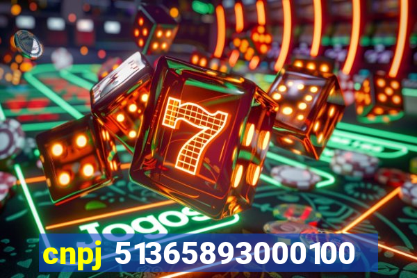 cnpj 51365893000100